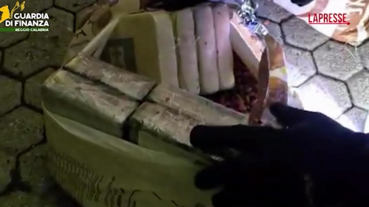 Cocaina nascosta tra le noccioline, maxi sequestro al porto di Gioia Tauro