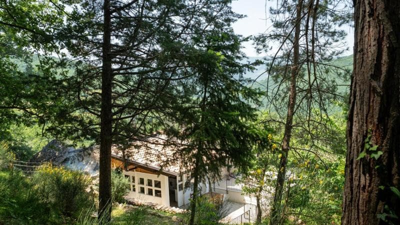 La seconda casa nel bosco di Palmoli, offerta alla famiglia Trevallion-Birmingham in comodato d'uso