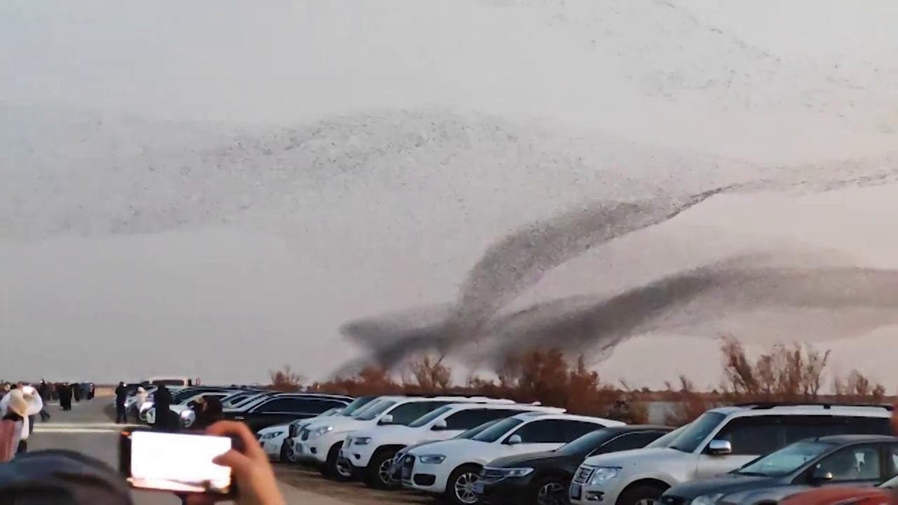 Cina, spettacolo nei cieli dello Shandong: migliaia di uccelli migratori formano "un'onda gigante"