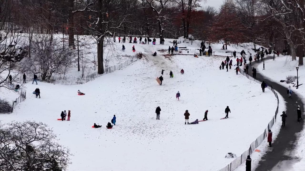 Tempesta di neve a New York: bob e slittini invadono Central Park