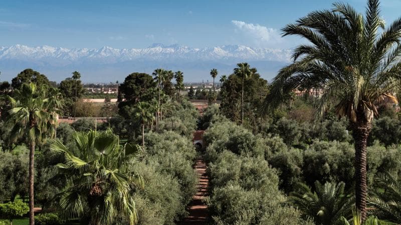 La Mamounia (foto Alan Keohane/La Mamounia)