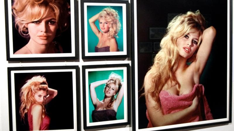 Alcuni ritratti di Brigitte Bardot, scomparsa a 91 anni