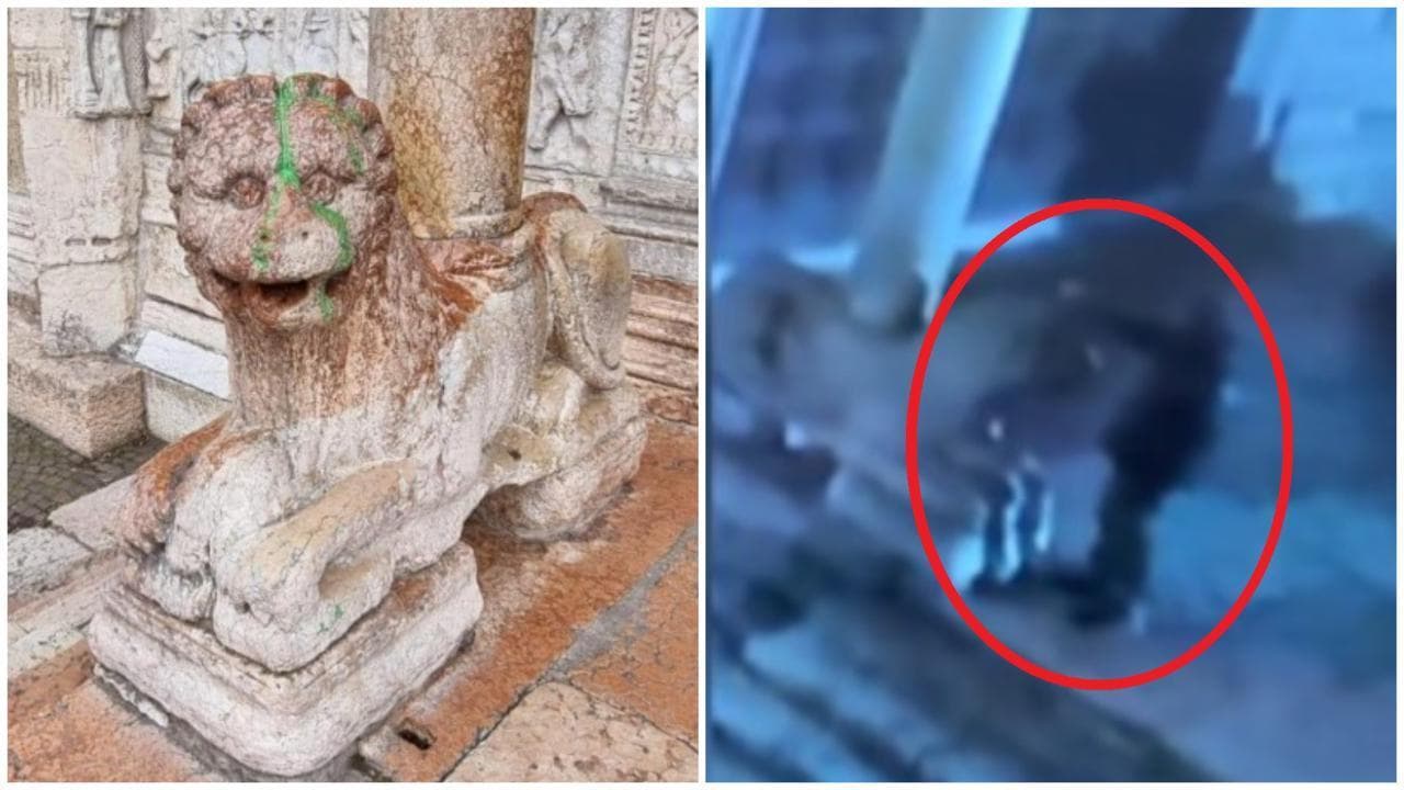 Verona, denunciato l'imbrattatore dei leoni di San Zeno: le immagini che lo incastrano
