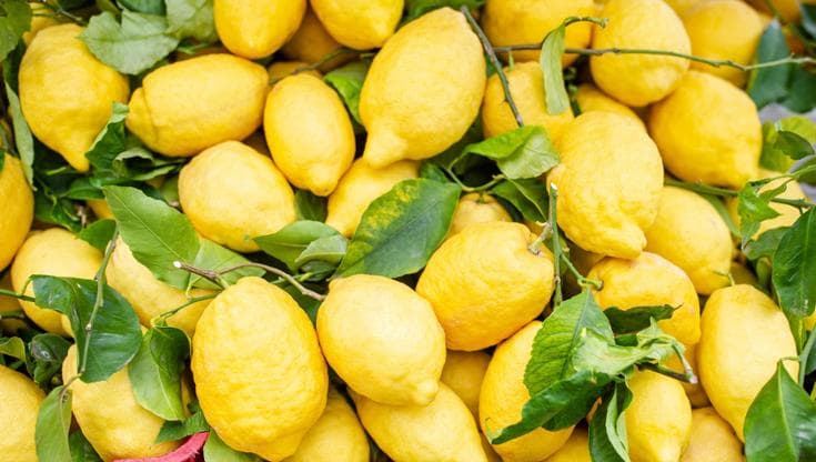 Citrus, la sostenibilità nella filiera degli agrumi