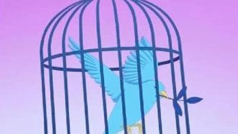 Il Nuovo Mondo: tutti contro tutti