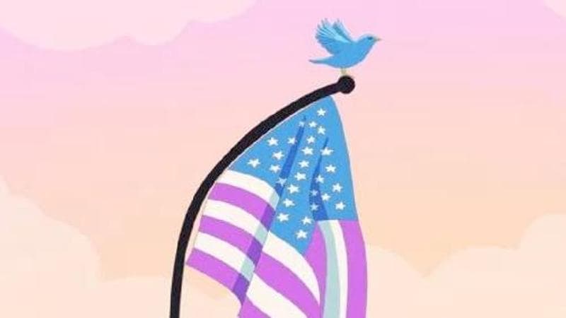 Gli Stati Uniti e la malattia americana