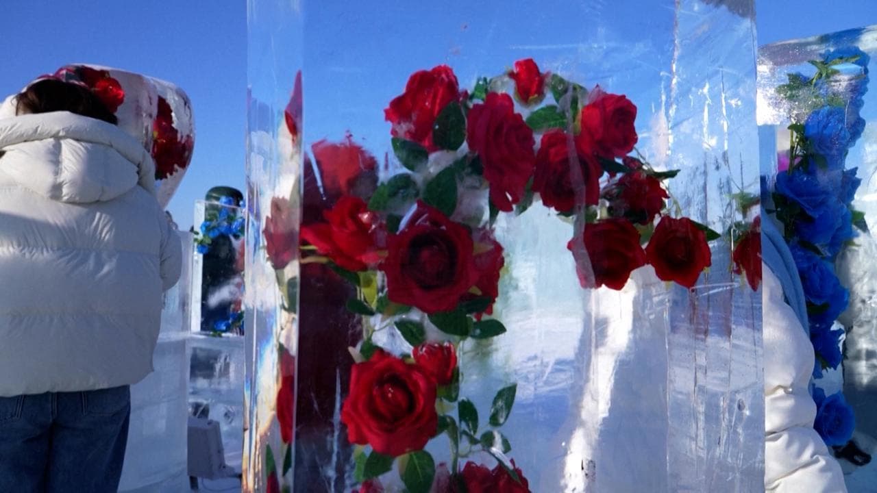 Cina: al Festival della neve di Harbin spopolano le "rose ghiacciate"