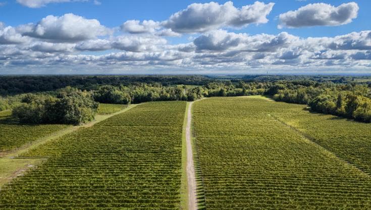 Agroalimentare, il valore è pari al 15% del Pil: export in calo per le scorte