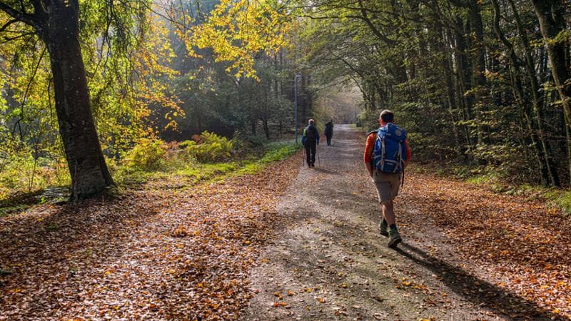 Un tratto toscano della Via degli Dei (Alamy/Ipa)