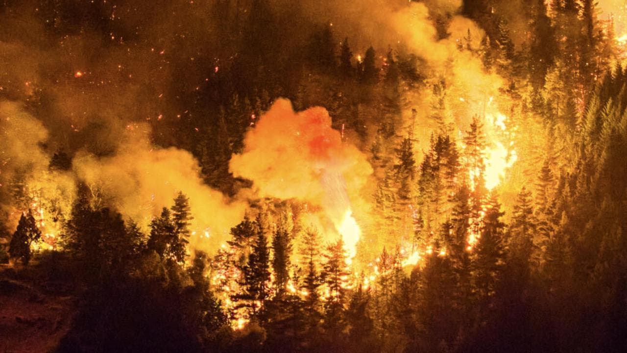Patagonia in fiamme: evacuazioni di massa, chiusa dal fuoco la grande strada del Sud argentino