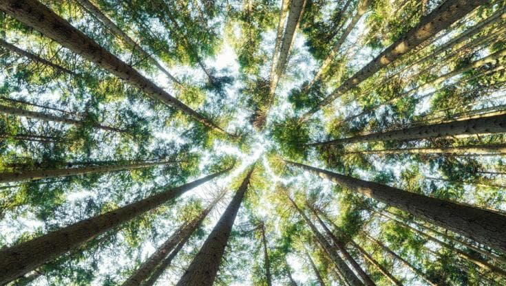 Silva (Generali): "Serve gestire il rischio climatico"