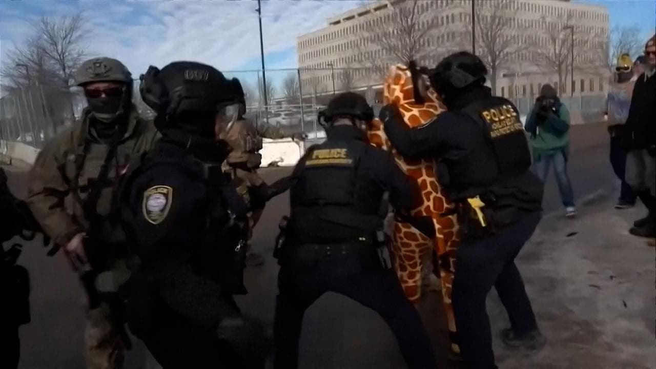 Minneapolis, gli agenti dell'Ice arrestano un comico vestito da giraffa tra le proteste dei presenti