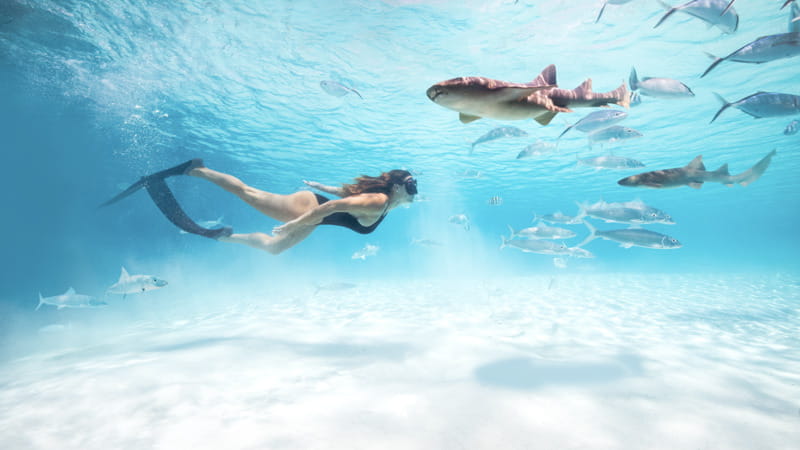 Bahamas @ Bahamas Ministry of Tourism