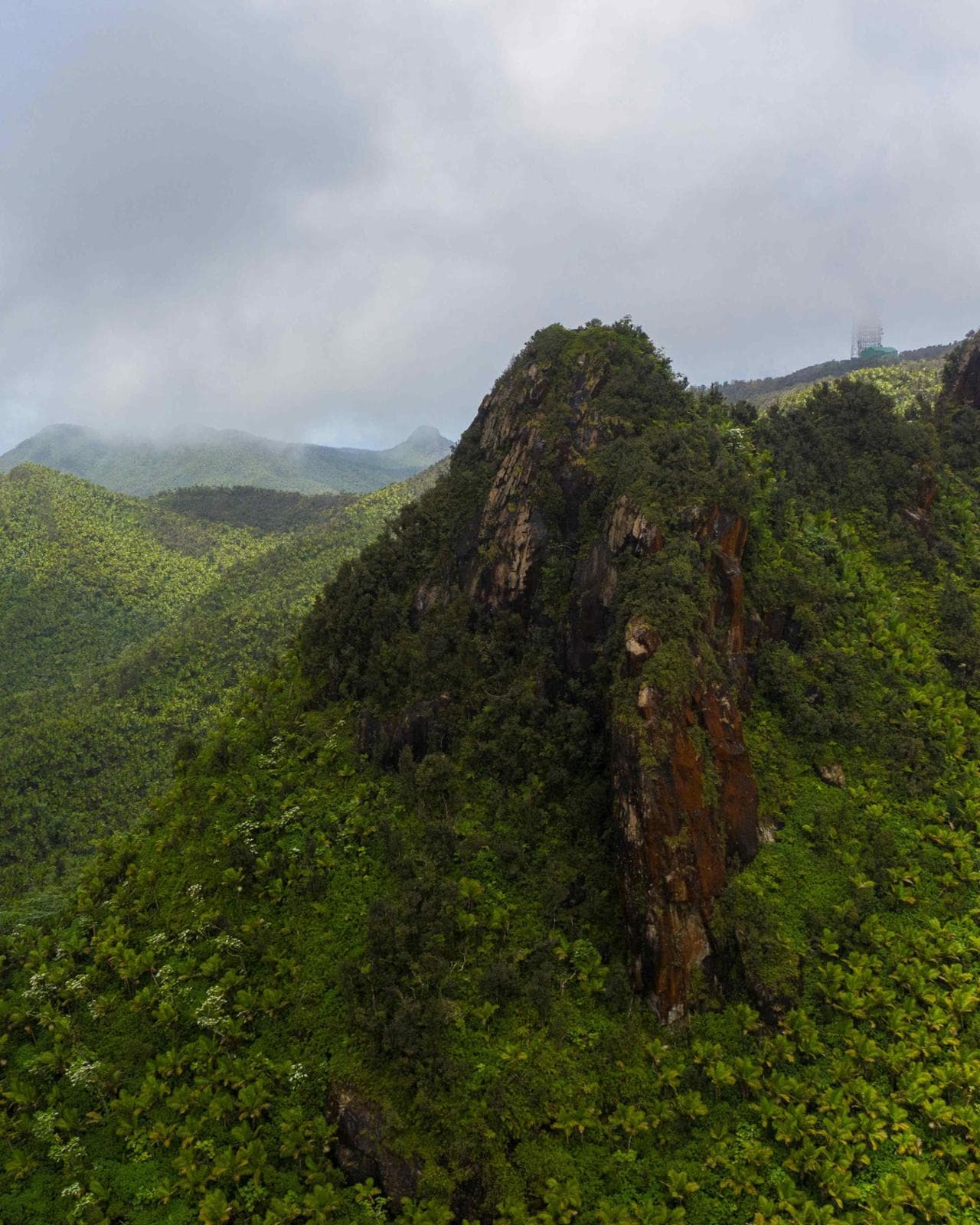 Ei Younque National Forest a Puerto Rico