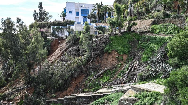 Diğer kıyıda bir Niscemi. Harry tarafından harap edilen Tunus'un mücevher köyü Sidi Bou Saïd'e gezi