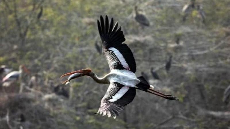EPA/HARISH TYAGI