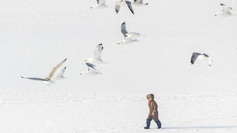 REUTERS/Vladyslav Sodel