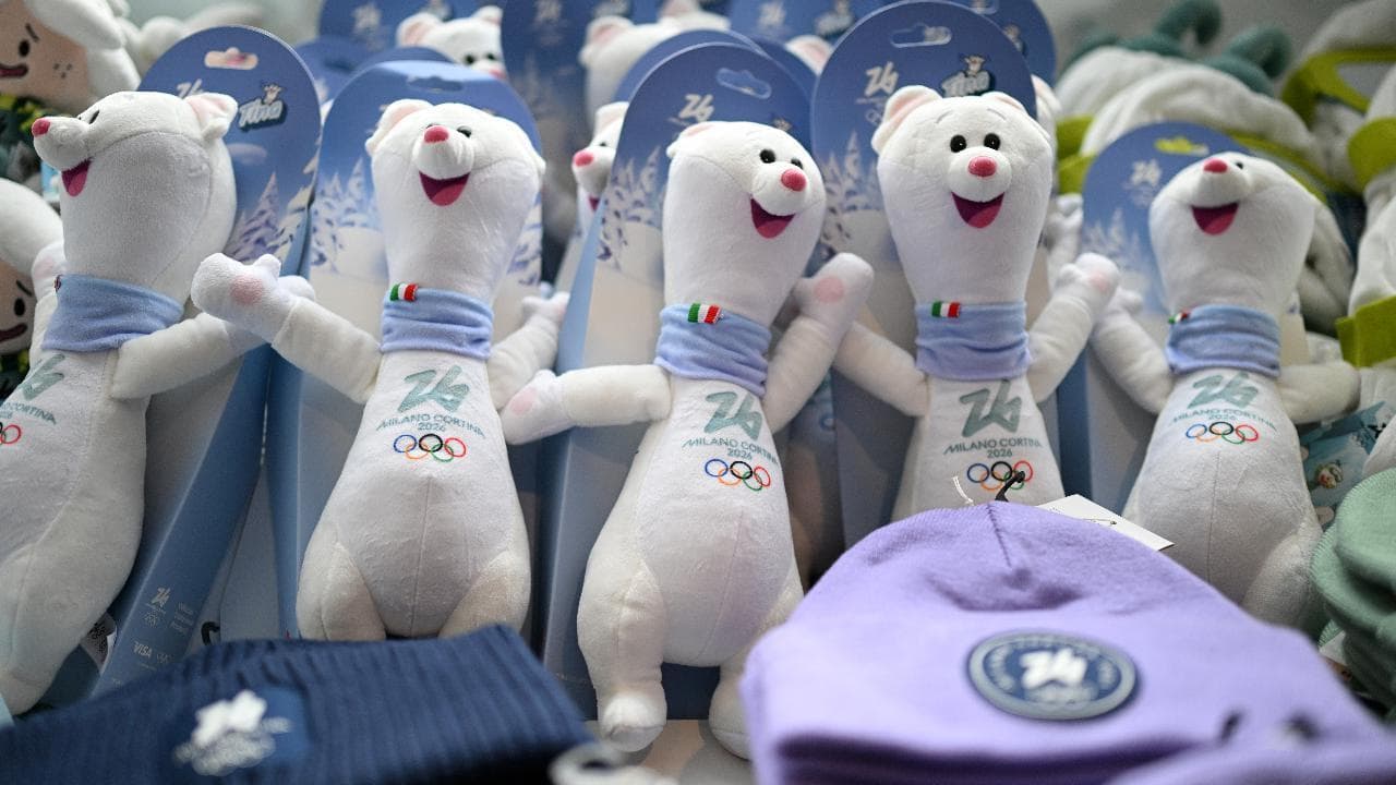 Il cugino di peluche