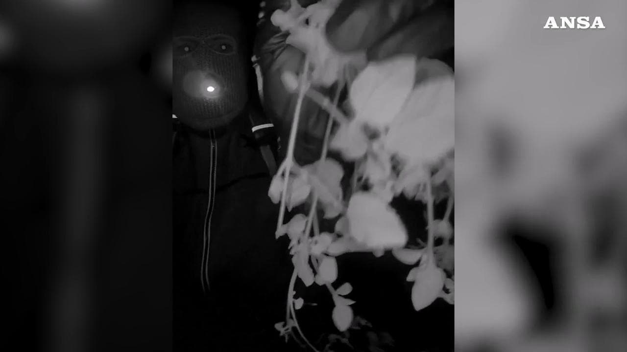 Usa, caso Nancy Guthrie: l'Fbi diffonde le immagini di un sospetto