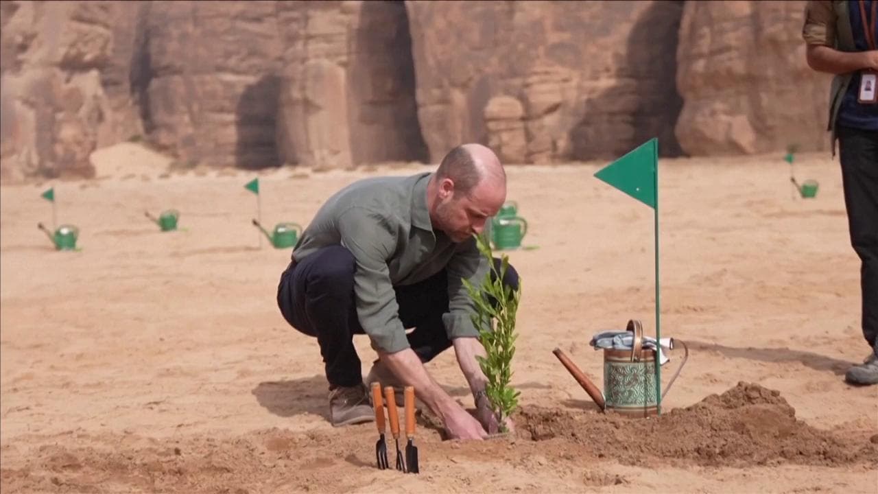 Arabia Saudita, il principe William si rimbocca le maniche e pianta alberi nella riserva naturale