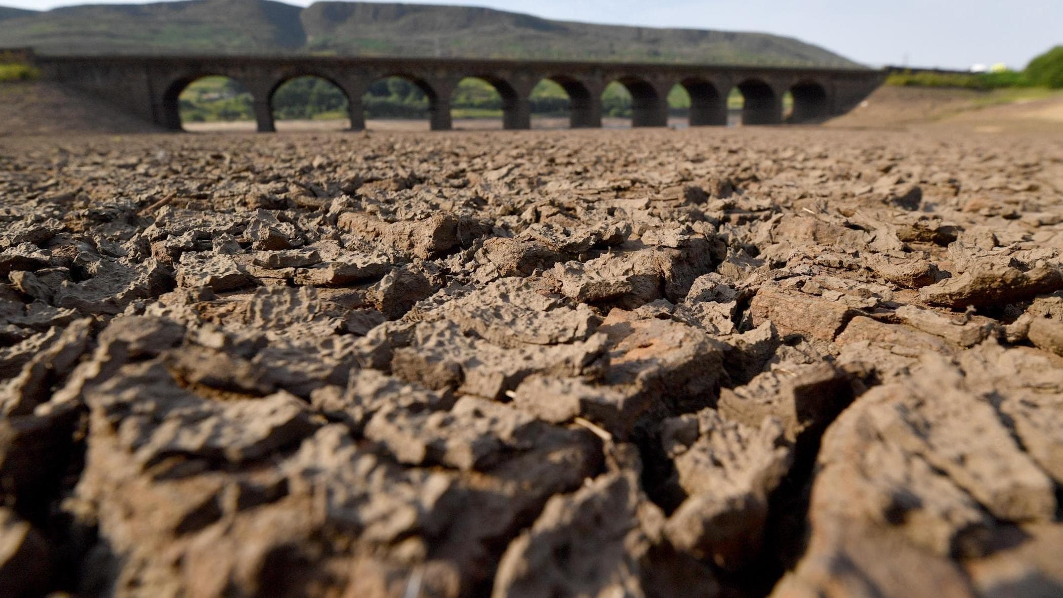 İklim, AB'nin 2040 hedefi sürüyor. Araçlar değişiyor