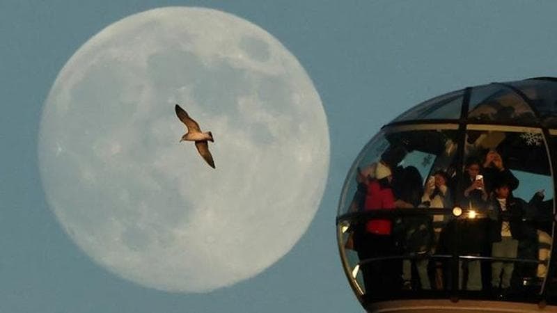 Moon rises on (REUTERS/Toby Melville)