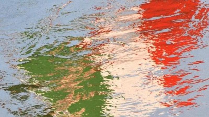 Particolare della copertina "Storia della Repubblica" (Donzelli)