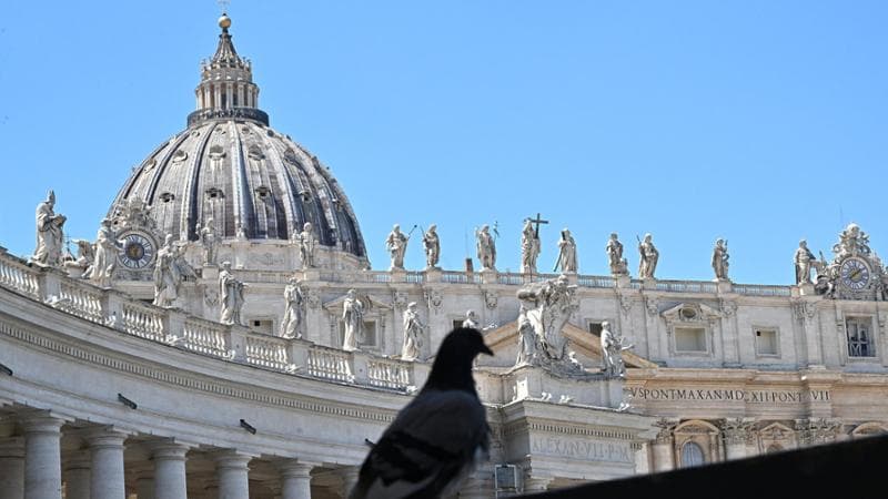 Cardinali, giornalisti e prelati: la rete ultraconservatrice che tramava contro Bergoglio
