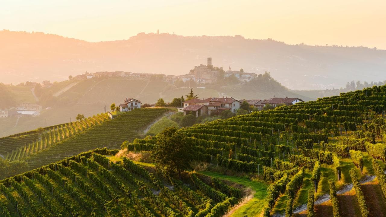 Cala la produzione vinicola italiana ma tengono le denominazioni d’origine