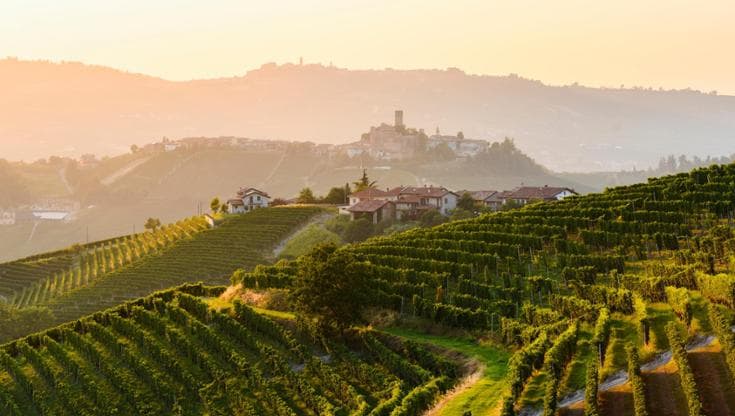Cala la produzione vinicola italiana ma tengono le denominazioni d’origine
