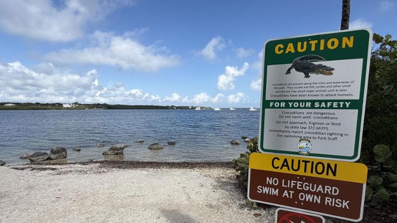 John Pennekamp Coral Reef State Park, Key Largo