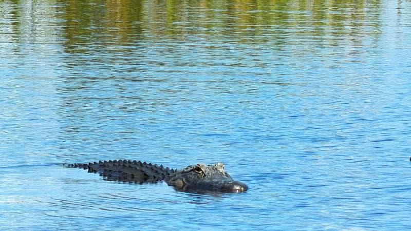 Everglades National Park, Florida