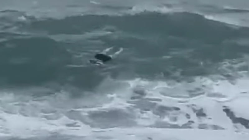 Un cadavere sulla costa calabrese