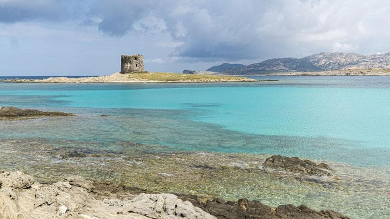 La Pelosa, Sardegna