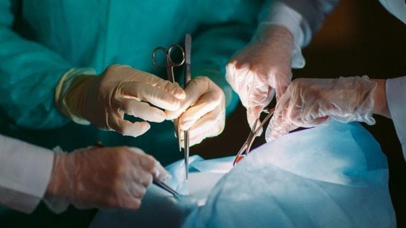Il valore di una rete dei trapianti