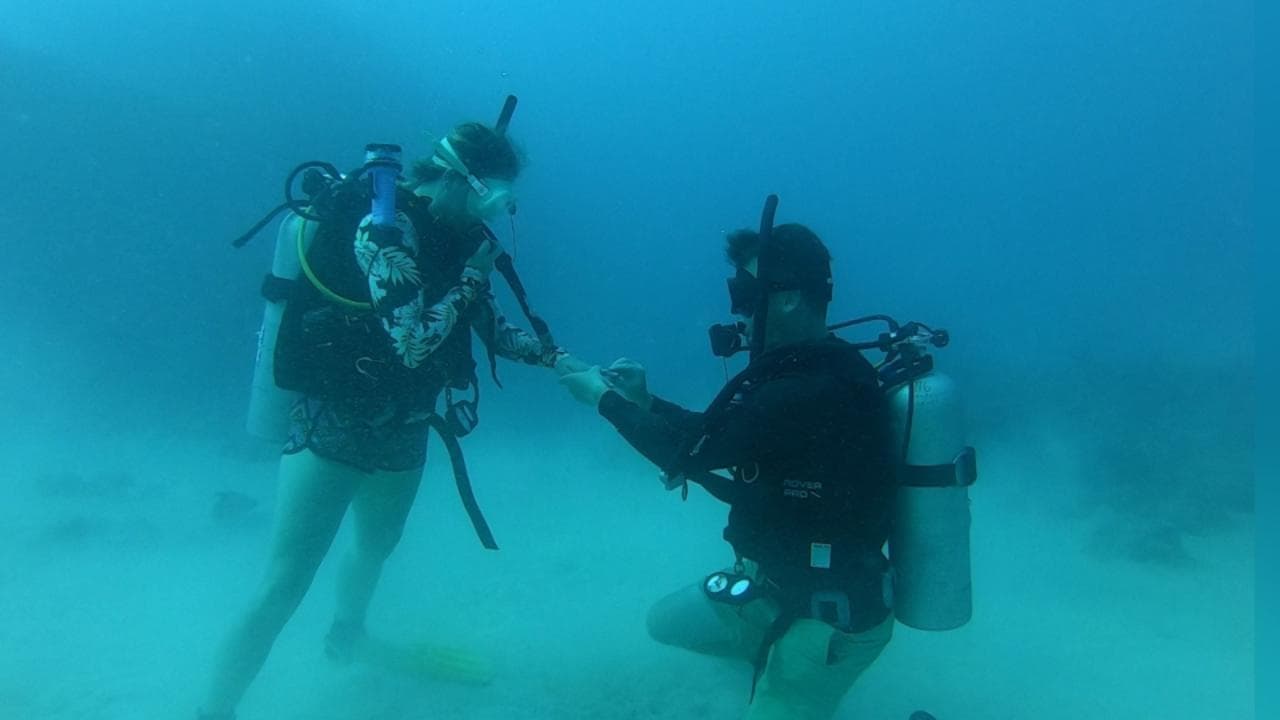 La proposta di matrimonio è sott'acqua. La reazione della sub: prima lo shock poi la gioia