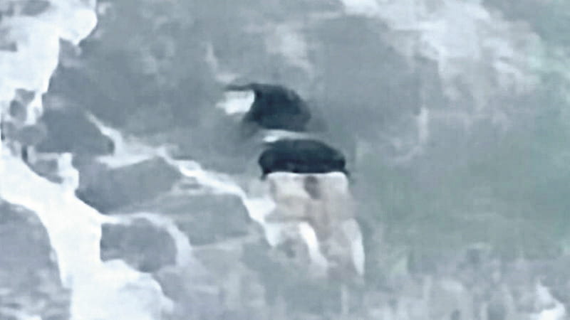 Uno dei corpi affiorati nel mare di Tropea, in Calabria
