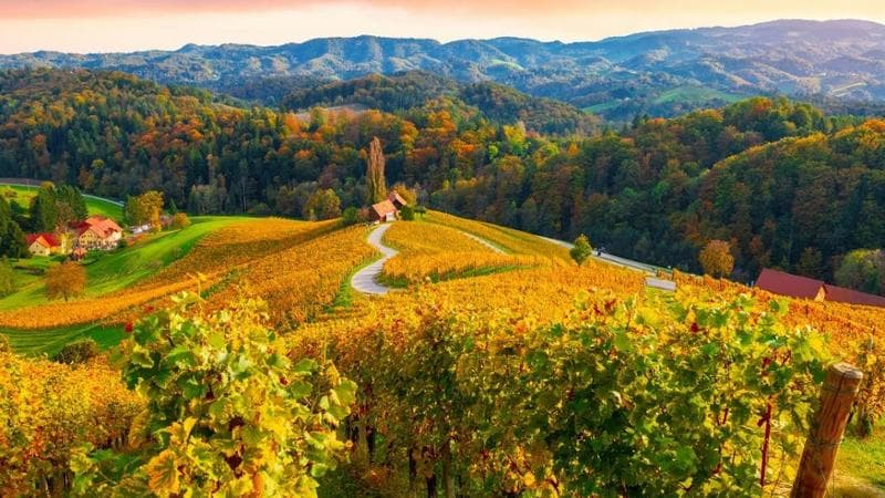 3) Stajerska, Slovenia (Roland Barat)