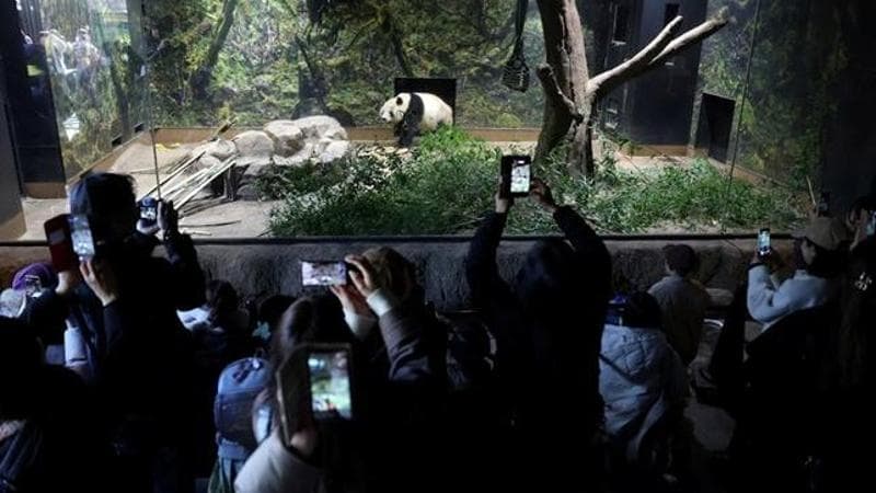 I visitatori accorrono (REUTERS/Issei Kato)