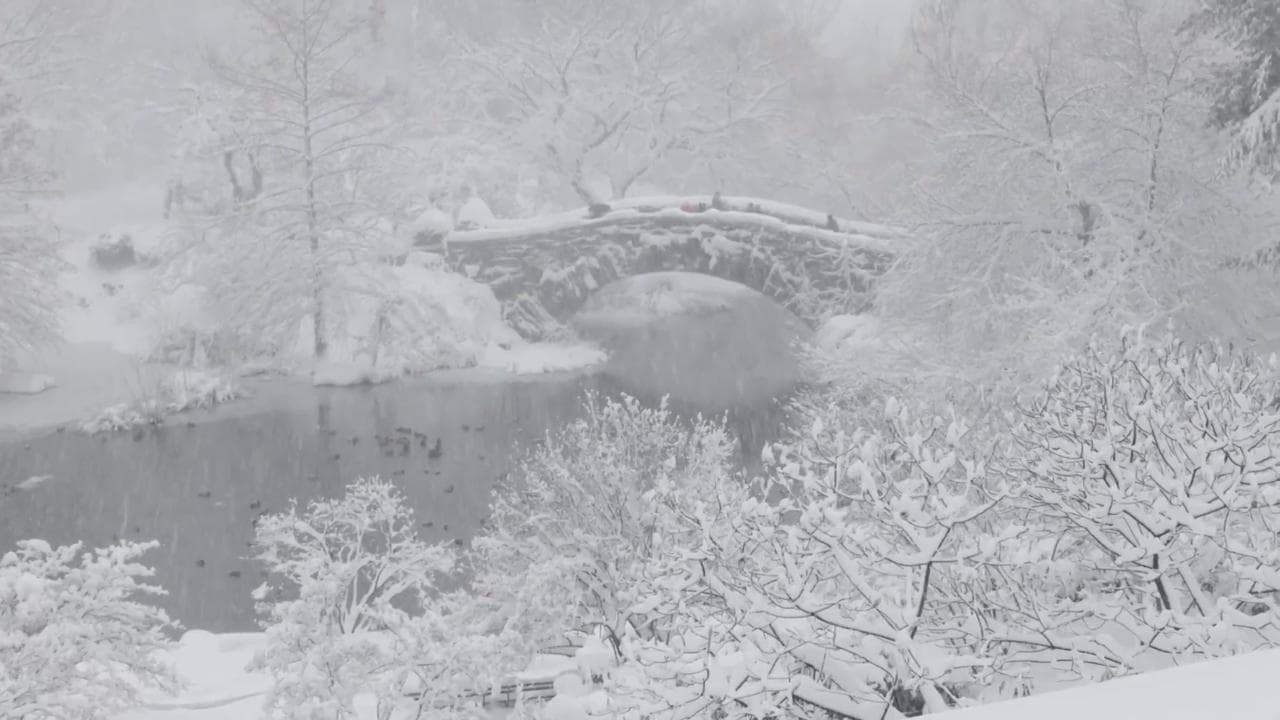 Usa, tempesta invernale si abbatte su New York: a Central Park caduti 50 cm di neve