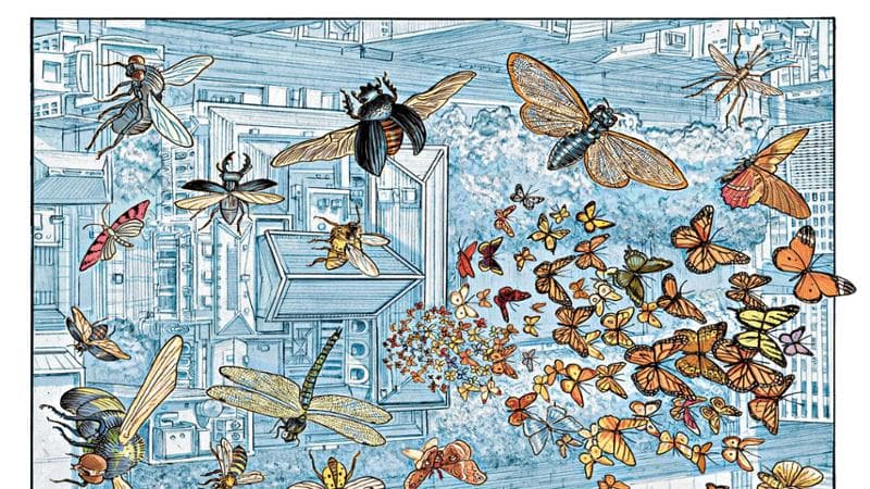 Il mondo segreto degli insetti