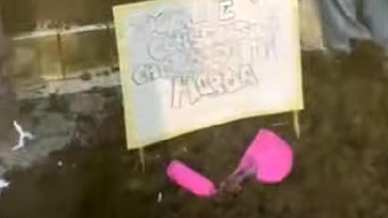 La protesta di 'Non una di meno': letame scaricato davanti all’ufficio di Giulia Bongiorno
