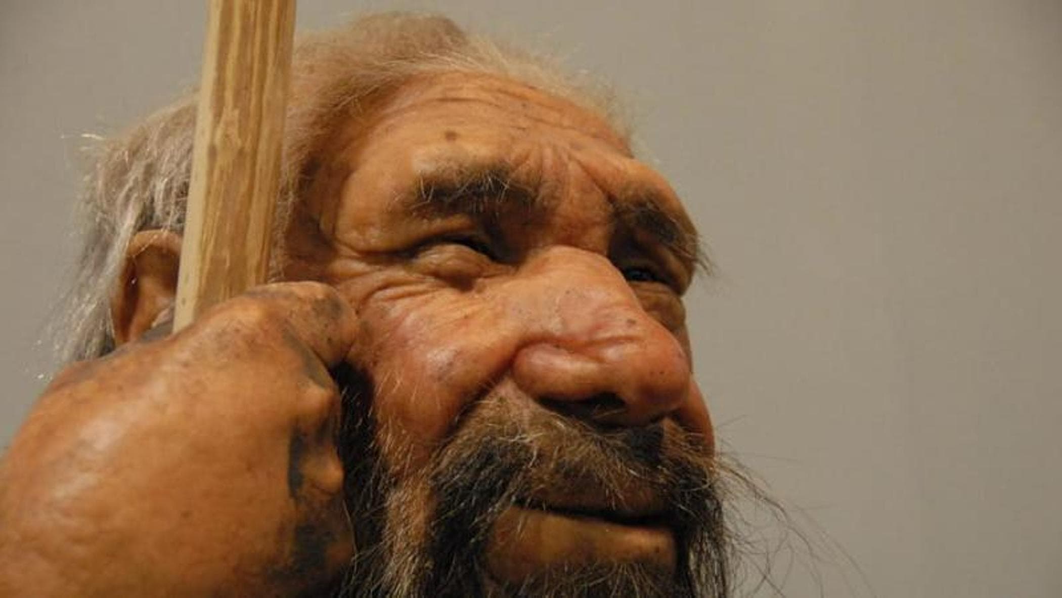 Neandertal ne kadar büyüleyici. Böylece genlerini Sapiens kadınlarına aktardı