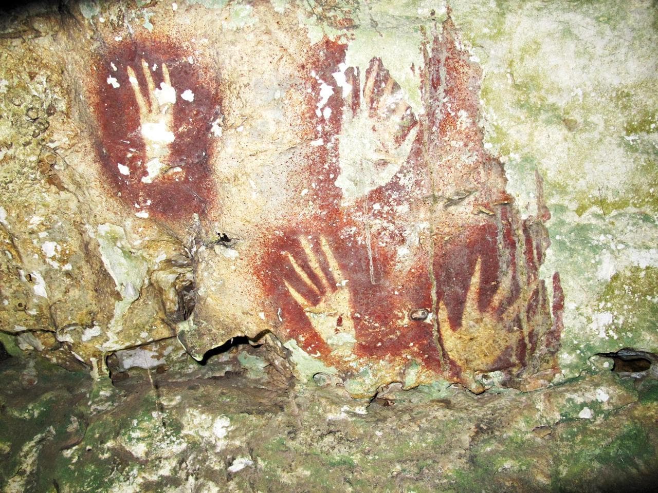 Le pitture rupestri pi&ugrave; antiche del mondo scoperte a Sulawesi, in Indonesia
