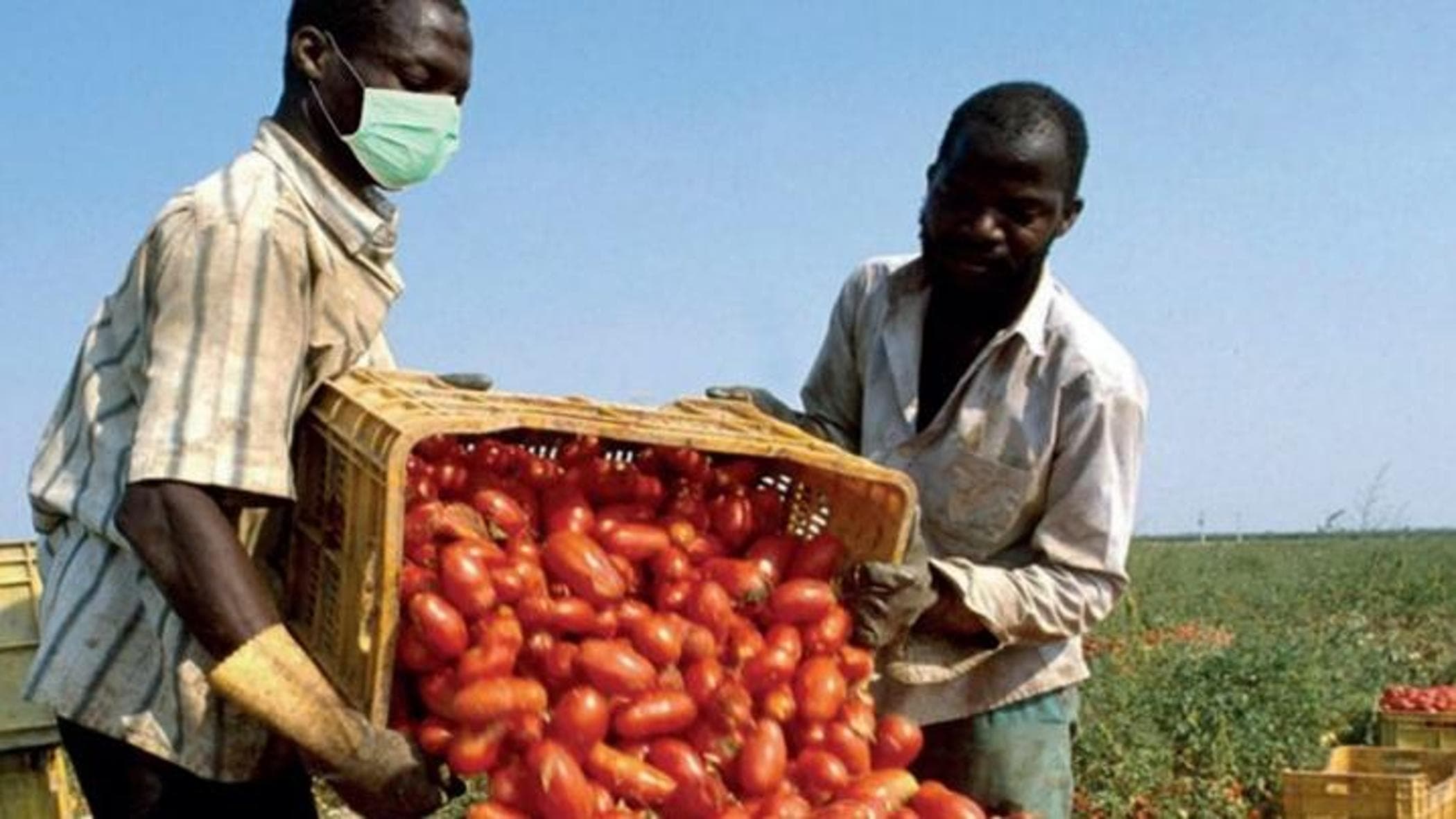 Göçmenler, işçilere yönelik kötü muameleyle mücadele için Çalışma Müfettişliği ile yeni anlaşma imzaladı