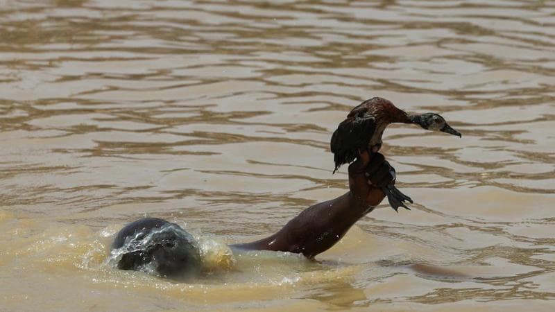 REUTERS/Sodiq Adelakun