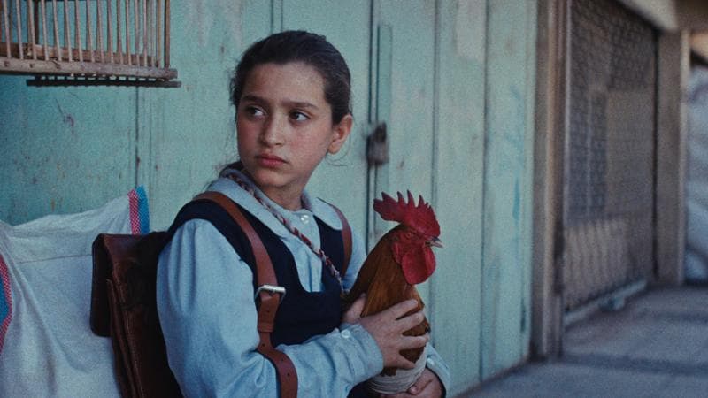 La piccola Lamia (Baneen Ahmad Nayyef) con il suo gallo Hindi nell’opera prima di Hasan Hadi