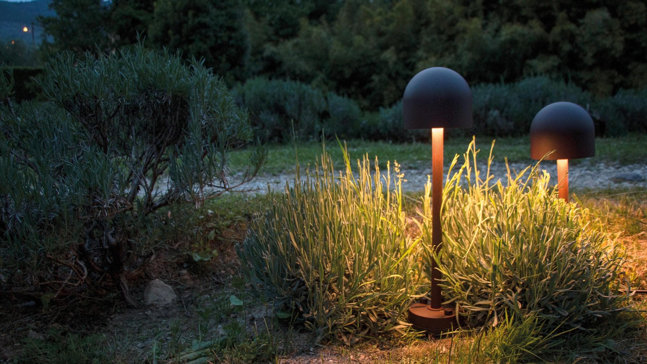 Boleto di Martinelli Luce