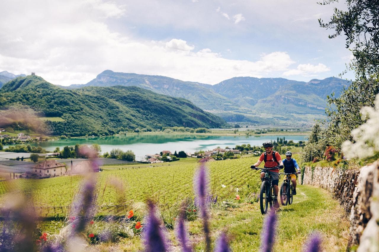 Alla scoperta della Strada del Vino dell’Alto Adige in bicicletta, foto a cura di Manuel Ferrigato