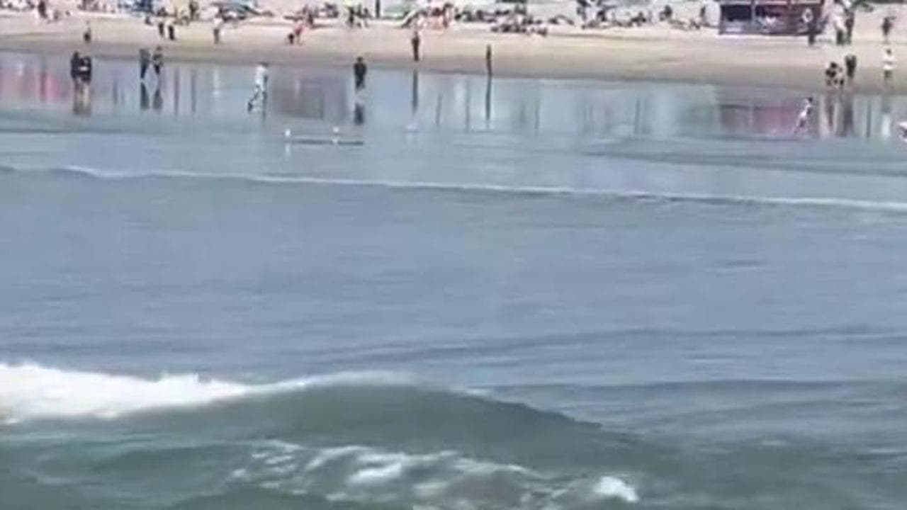 California, papà e figlia rischiano di annegare nella risacca: istruttore di surf li salva così